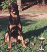CIOBANESC DE BEAUCE-BEAUCERON